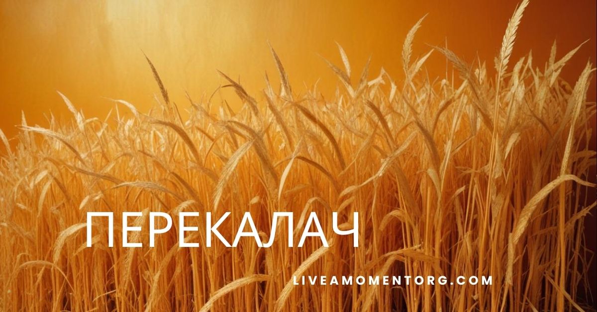 Перекалач
