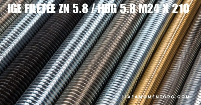 IGE Filetée Zn 5.8 / HDG 5.8 M24 x 210